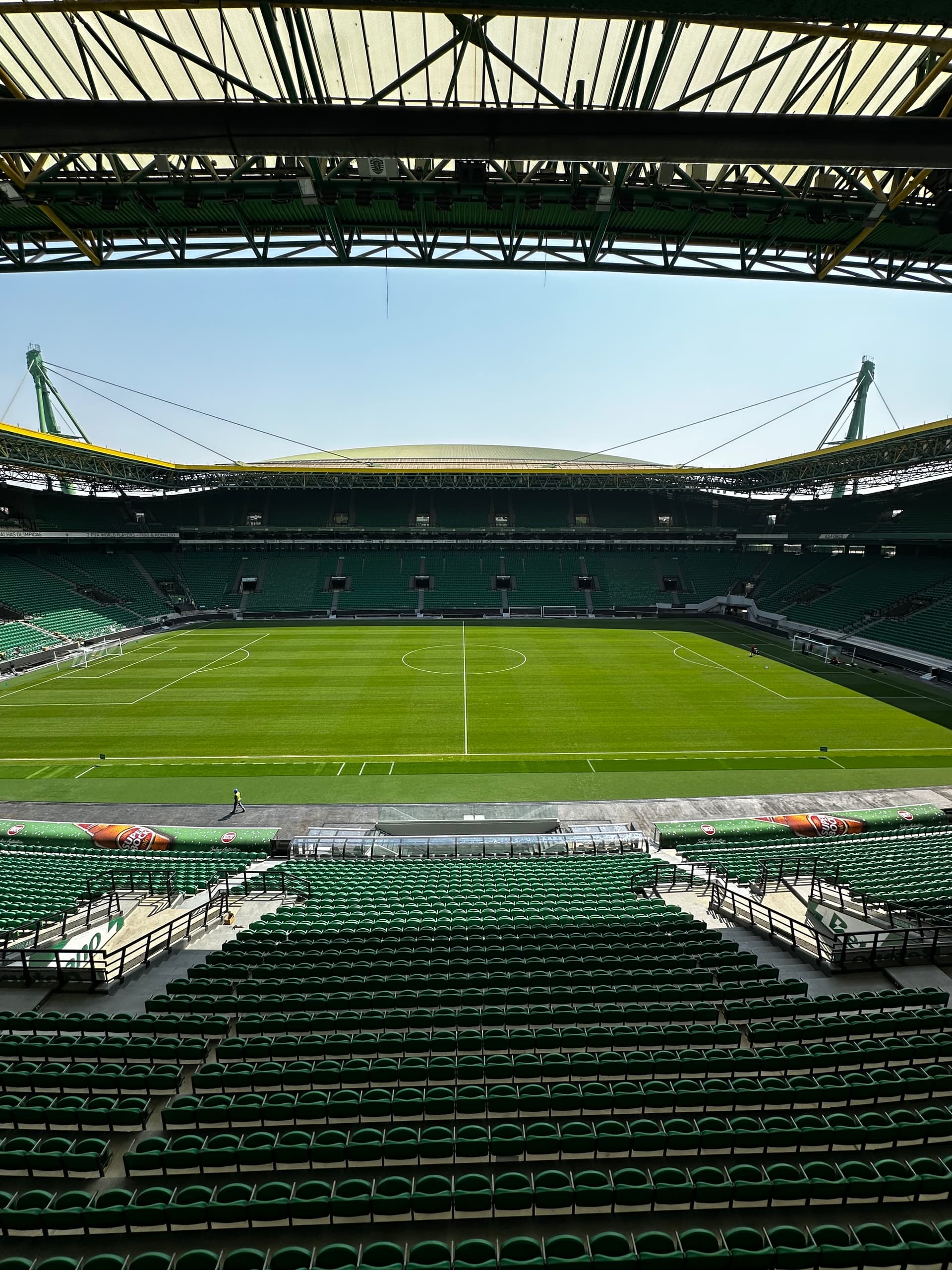 Relvado novo - Agosto de 2025.jpeg