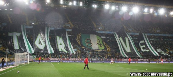 Scp0lamps2fev11 01.jpg