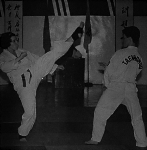 Ficheiro:Taekwondo-1998-treino.jpg