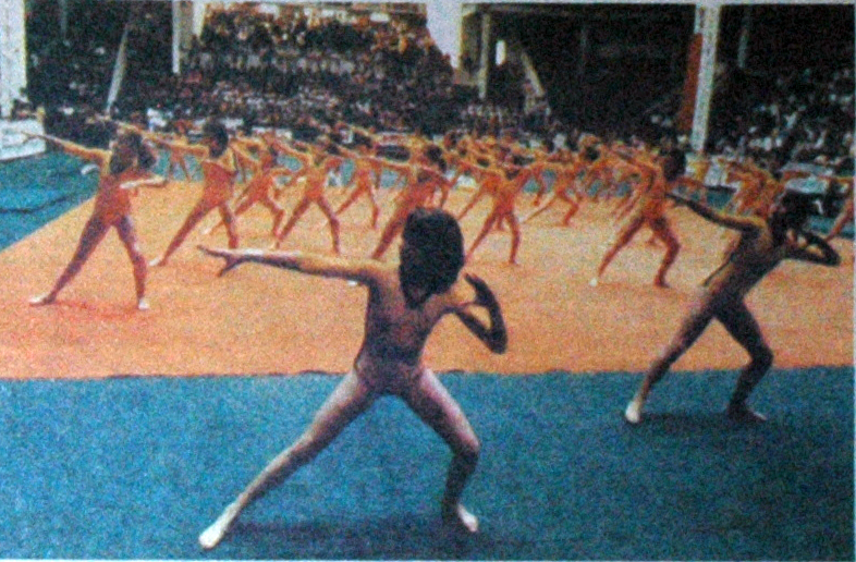 Ficheiro:Ginástica-junho-1982-sarau.jpg