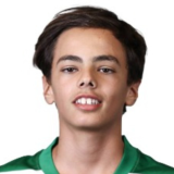 Manuel ribeiro.png