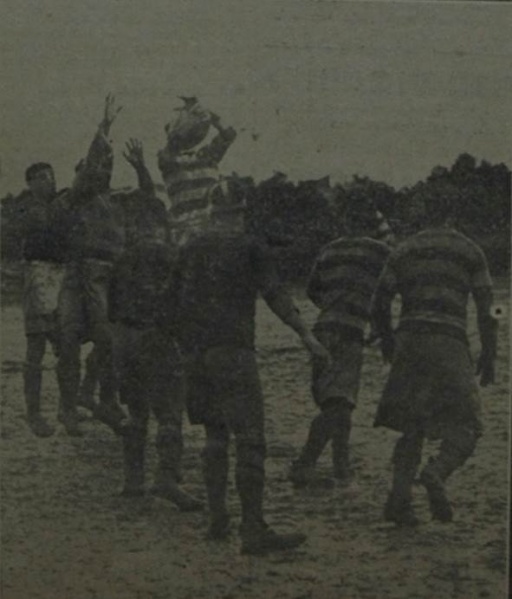 Ficheiro:Râguebi1927.28.jpg