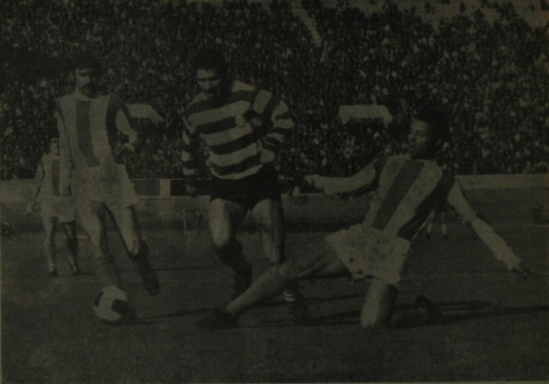 Ficheiro:DSC 0220.JPG