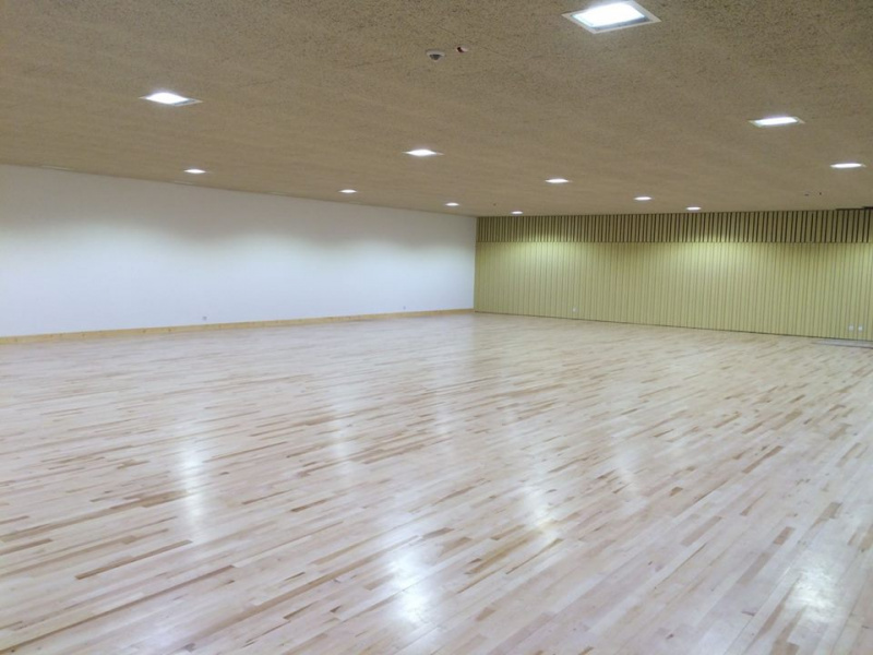 Ficheiro:2017-04-20 -7- Pavilhão João Rocha.jpg