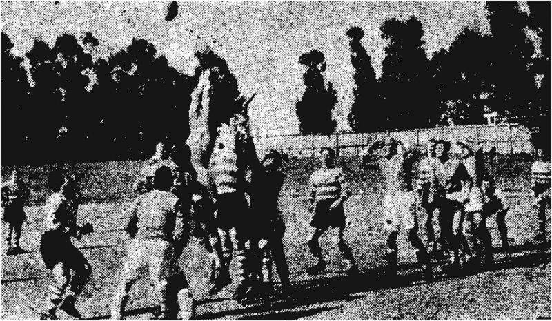 Ficheiro:Râguebi1954.54.png