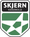 FDJSkjern Håndbold.png