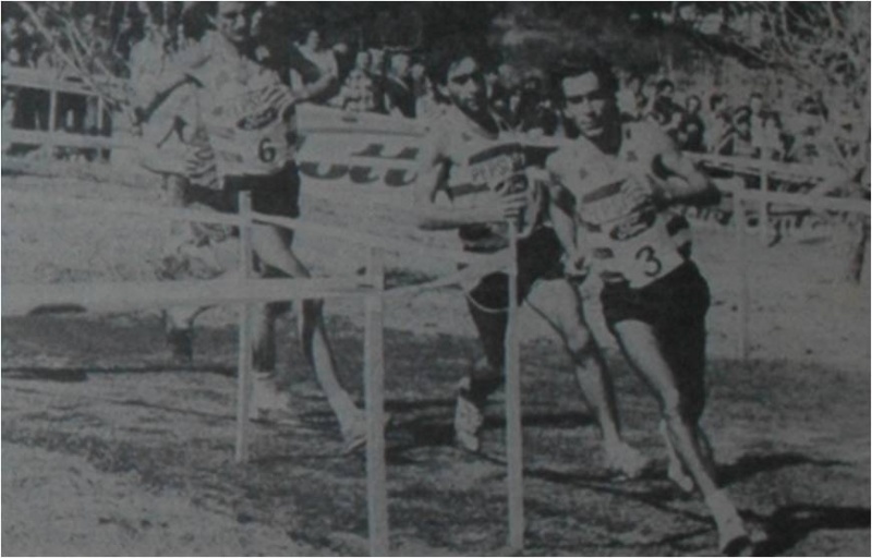 Ficheiro:TCE-CM-1986.4.jpg