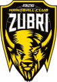 FDJHC Zubří.png