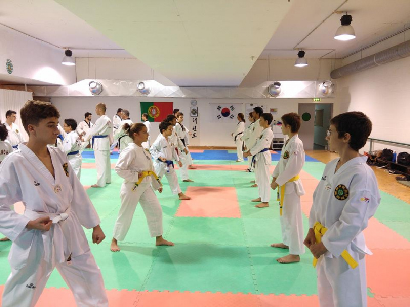 Ficheiro:Taekwondo-2017-formação.jpg