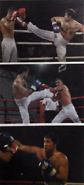 Ficheiro:Fernando-Fernandes-2008.jpg