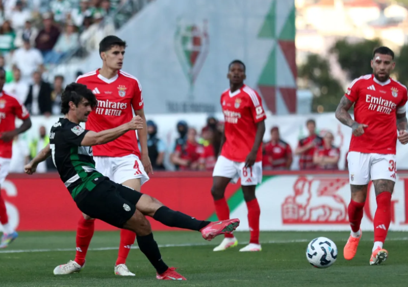 Ficheiro:Trincao 3.png