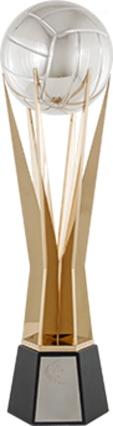 Ficheiro:Voleibol - Troféu - Supertaça.png