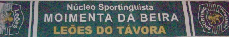 Ficheiro:CachecolNSLT.jpg