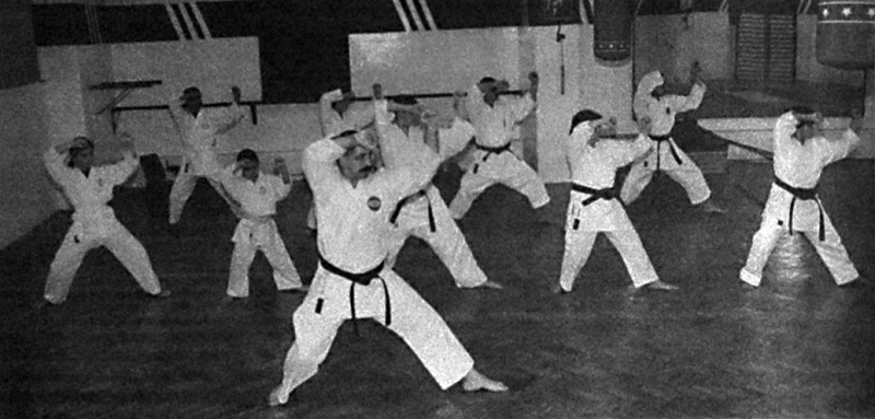 Ficheiro:Karate-1998.jpg
