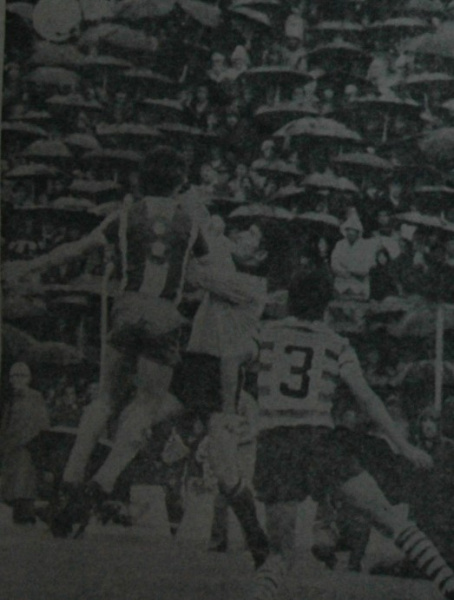 Ficheiro:Vaz antas.JPG