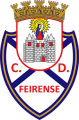 FDJClubeDesportivoFeirense.png