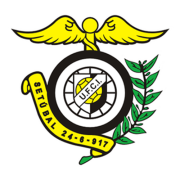 FDJComércio e Indústria.png