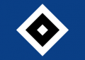 FDJHamburgerSV.png