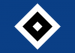 FDJHamburgerSV.png