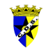 FDJSalvaterrense.png